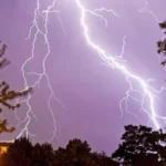 Internet Breaking News: How the Web Spreads Information at Lightning