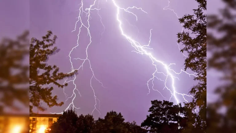 Internet Breaking News: How the Web Spreads Information at Lightning
